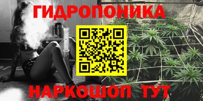трава Берёзовский
