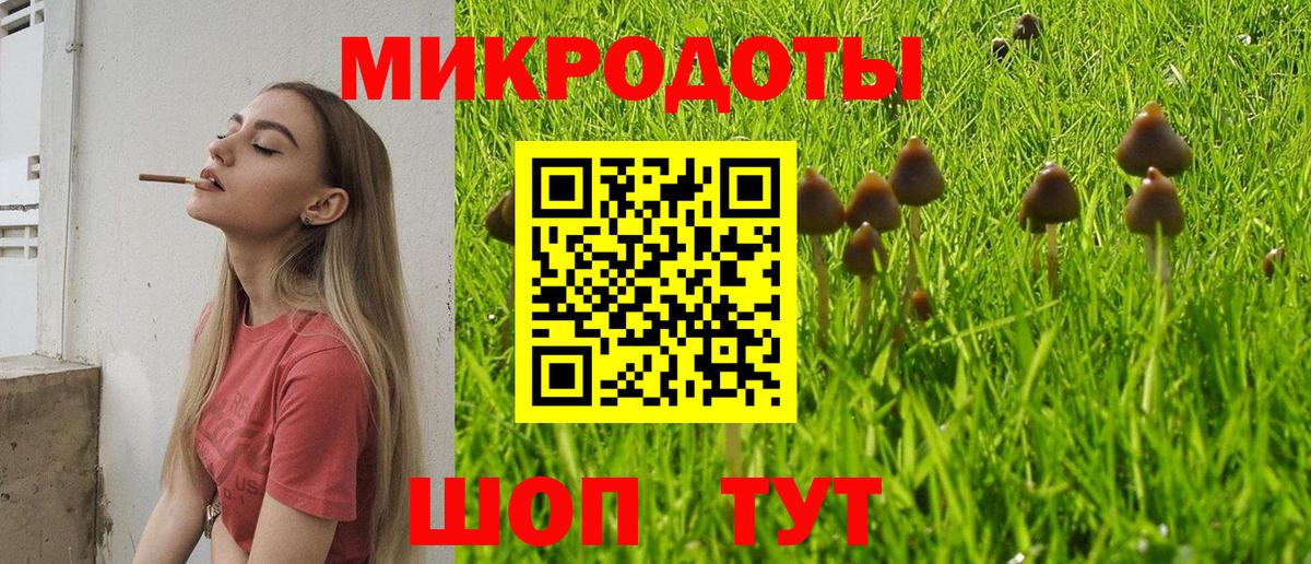 Белогорск  Галлюциногенные грибы мицелий  Вход с VPN 
