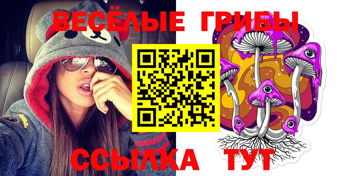 Псилоцибиновые грибы мицелий Белогорск
